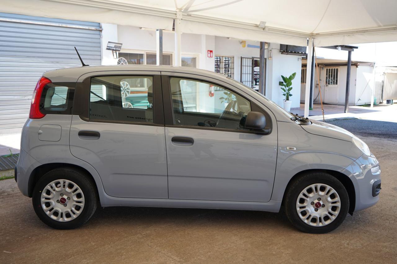 FIAT Panda - immagine 6